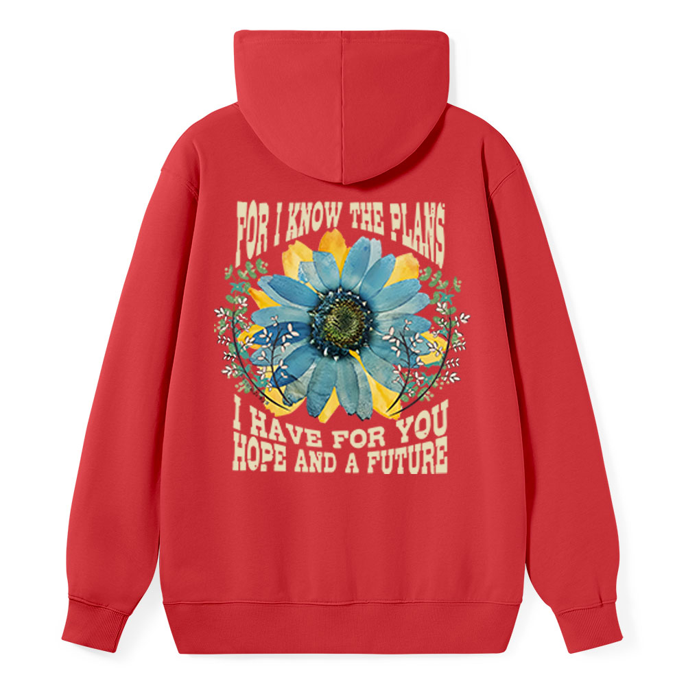 For I Know The Plans Classic Christian Hoodie