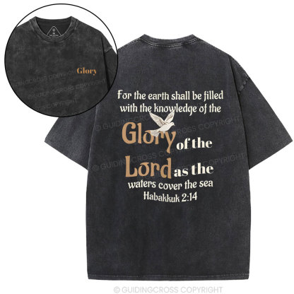 For The Earth Shall Be Filled With The Knowledge Christian Washed T-Shirt