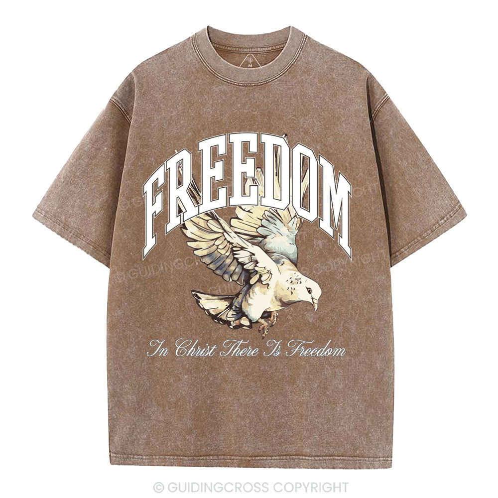 Freedom In Christ Christian Washed T-Shirt