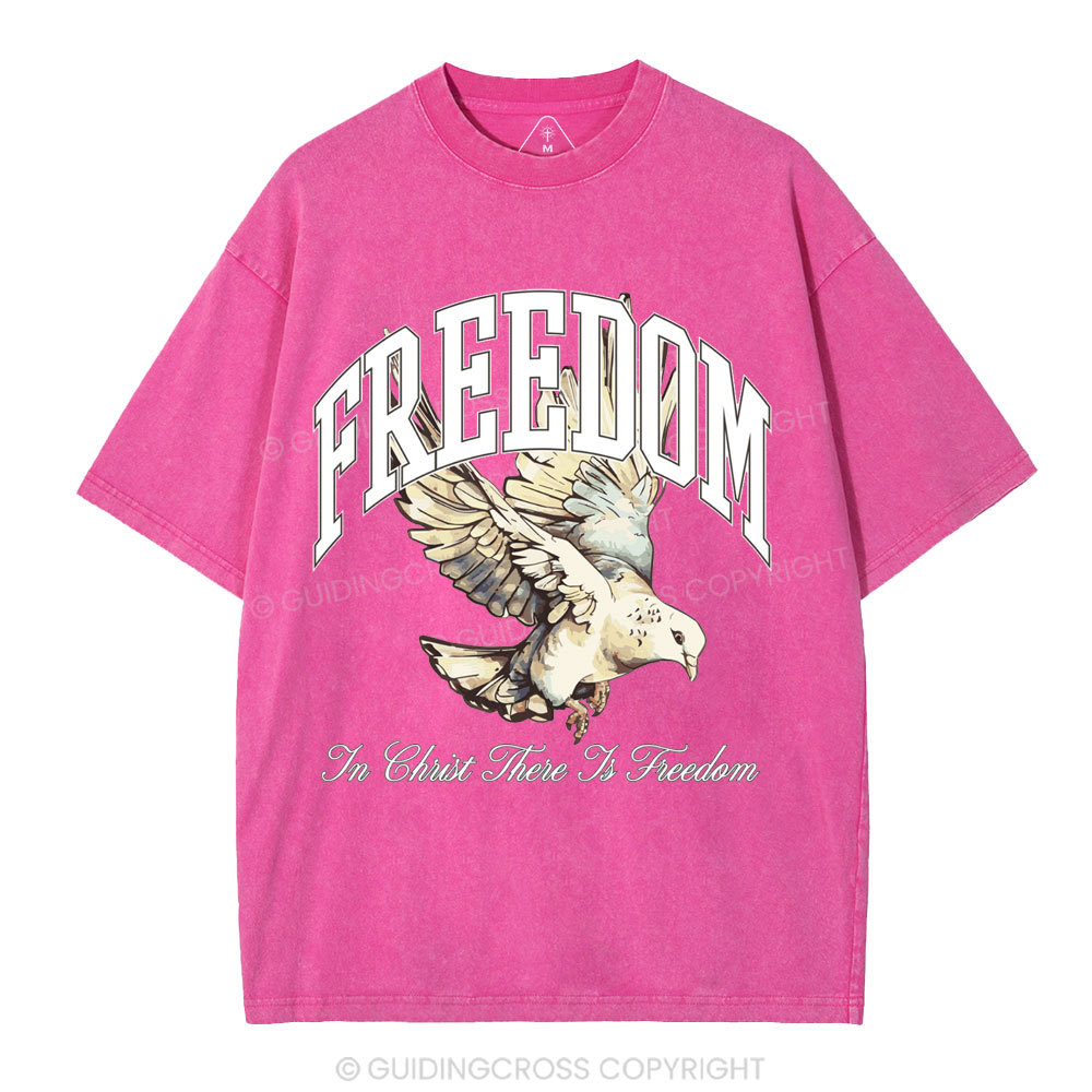 Freedom In Christ Christian Washed T-Shirt
