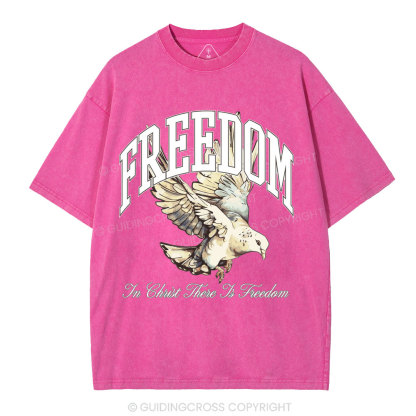 Freedom In Christ Christian Washed T-Shirt