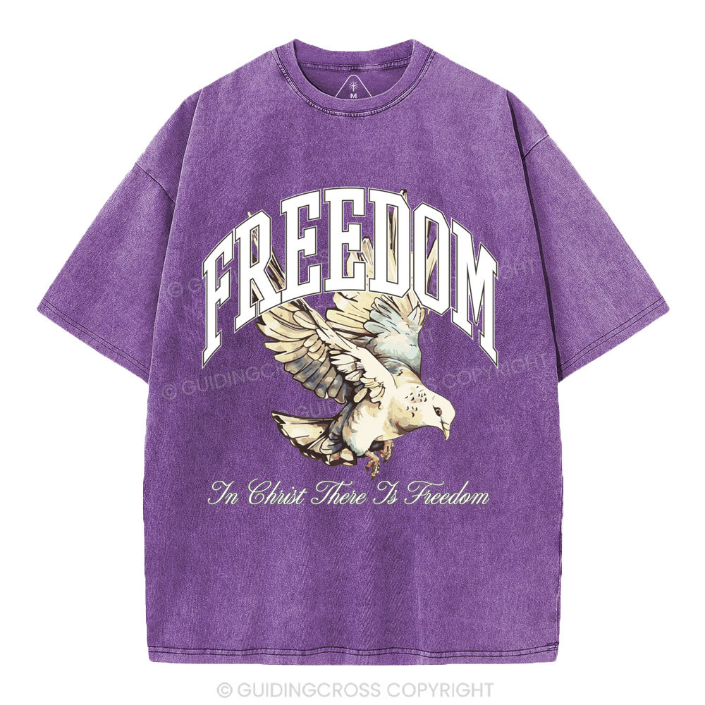 Freedom In Christ Christian Washed T-Shirt