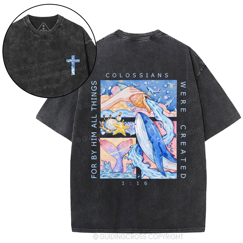 New In Christian Colossians T-Shirt/Hoodies Sale – GuidingCross