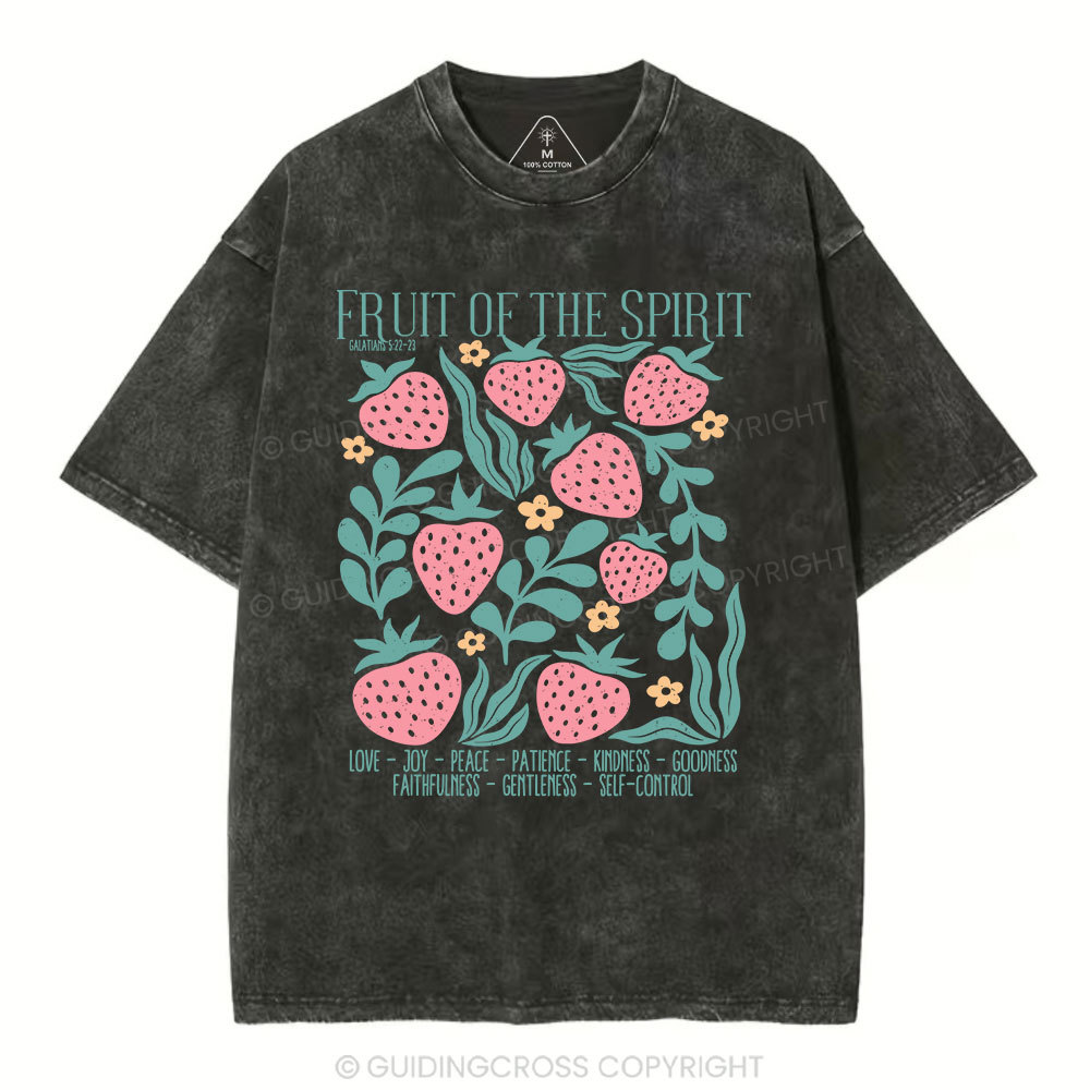 Fruit Of Spirit Christian Washed T-Shirt