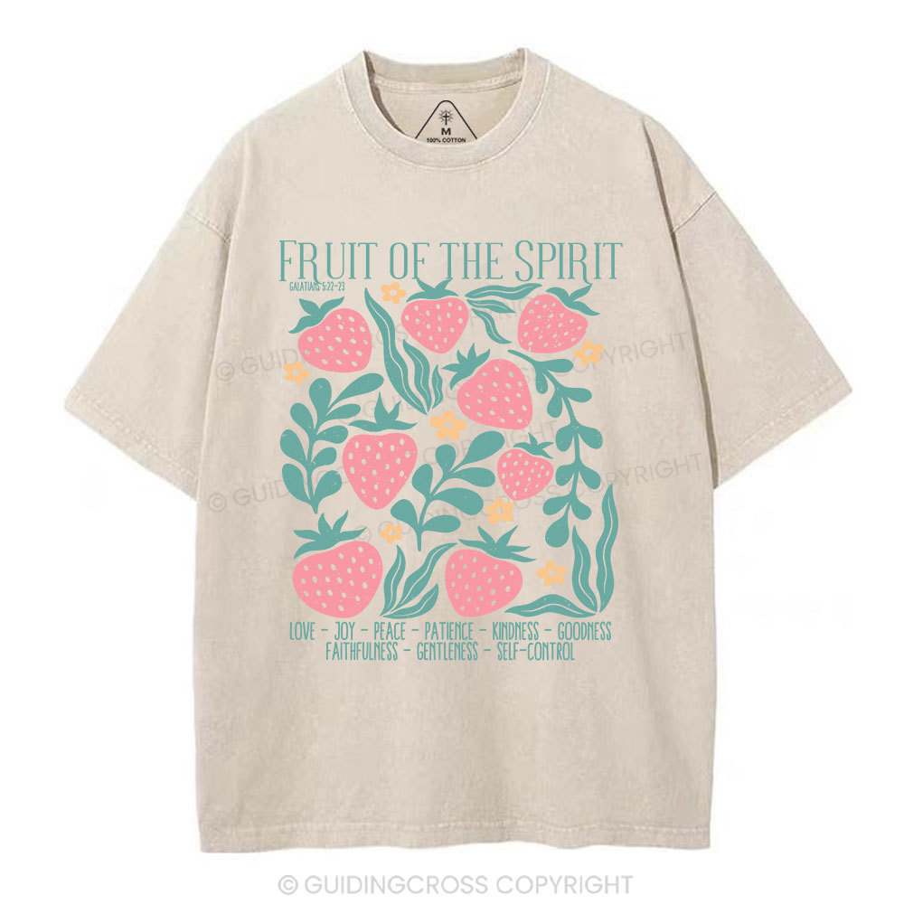 Fruit Of Spirit Christian Washed T-Shirt