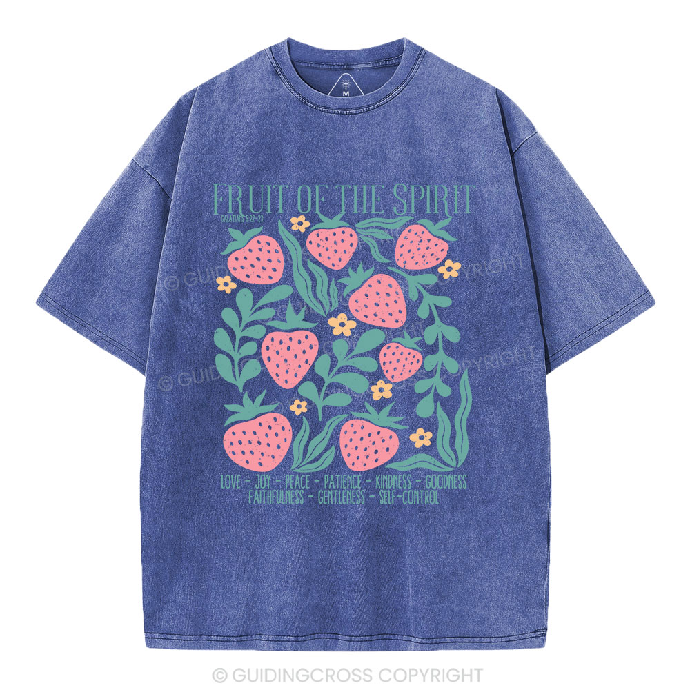 Fruit Of Spirit Christian Washed T-Shirt