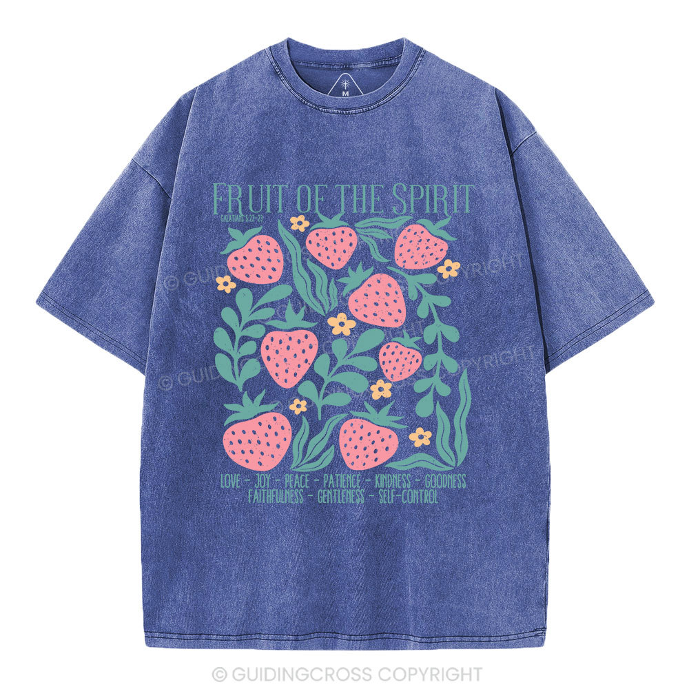 Fruit Of Spirit Christian Washed T-Shirt
