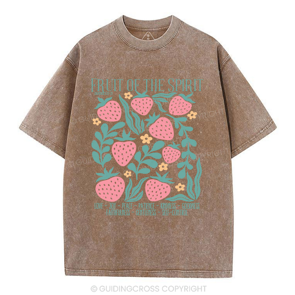 Fruit Of Spirit Christian Washed T-Shirt