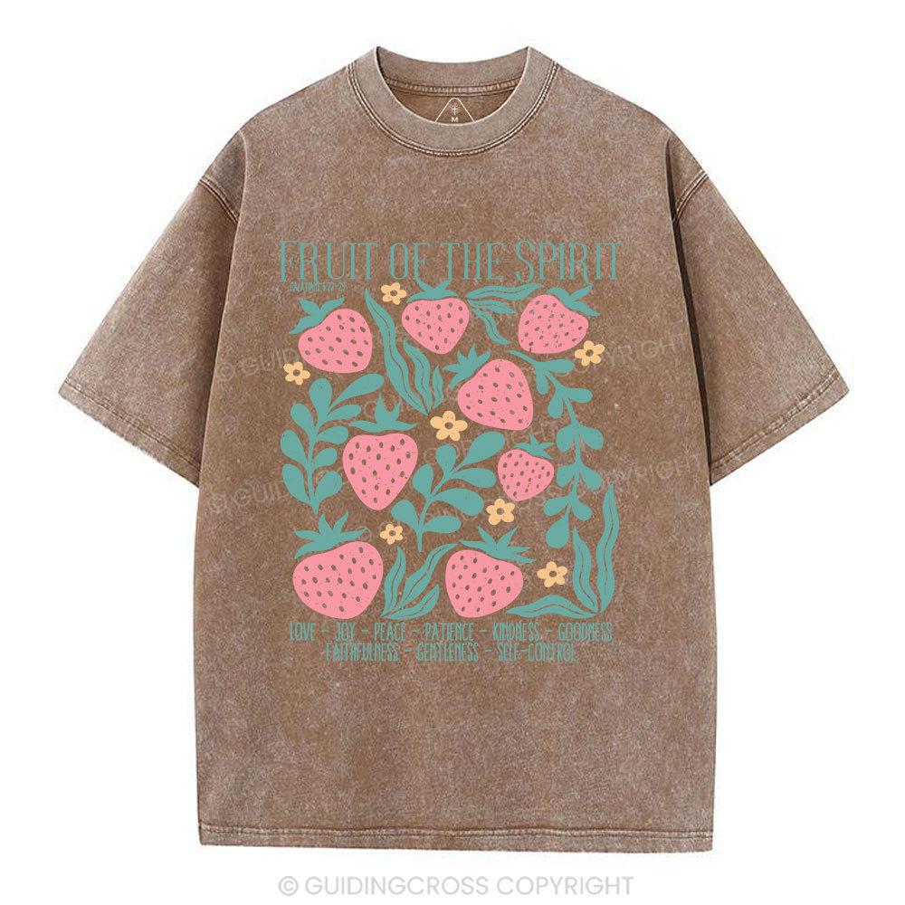 Fruit Of Spirit Christian Washed T-Shirt