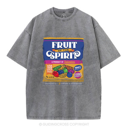 Fruit Of Spirit Christian Washed T-Shirt