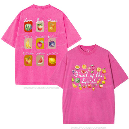 Fruit Of Spirit Christian Washed T-Shirt