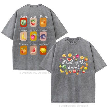 Fruit Of Spirit Christian Washed T-Shirt