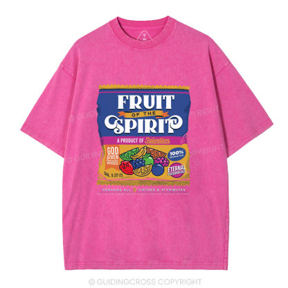 Fruit Of Spirit Christian Washed T-Shirt