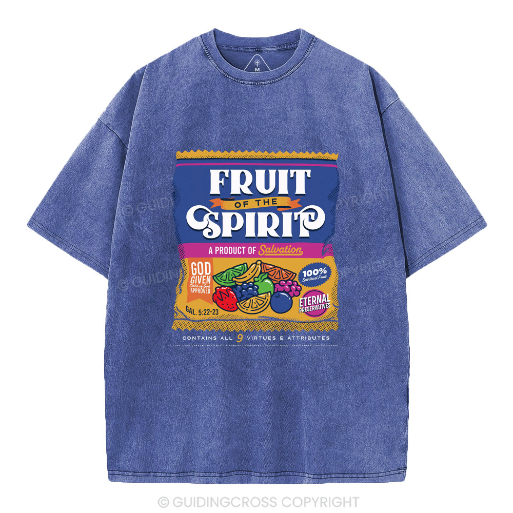 Fruit Of Spirit Christian Washed T-Shirt