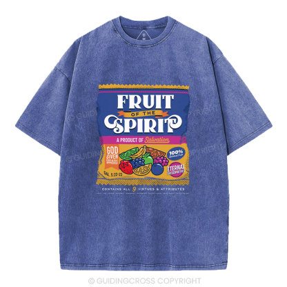 Fruit Of Spirit Christian Washed T-Shirt