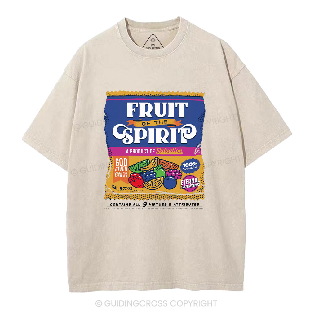 Fruit Of Spirit Christian Washed T-Shirt