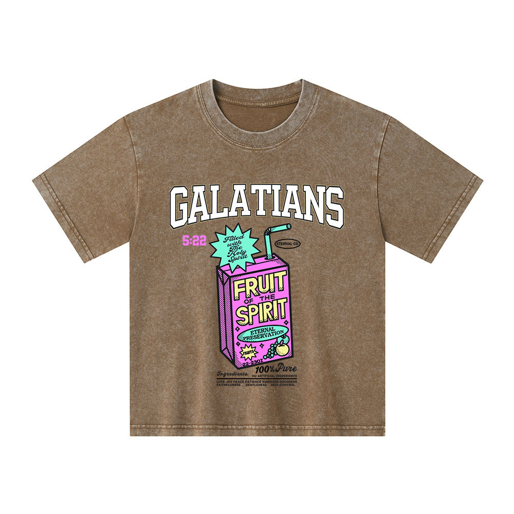 Fruit Of The Spirit Christian Kid Washed T-Shirt