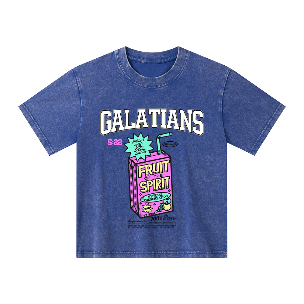 Fruit Of The Spirit Christian Kid Washed T-Shirt