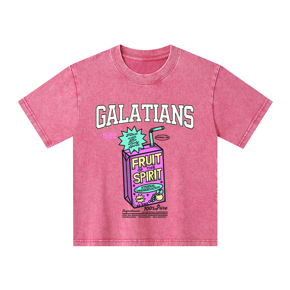 Fruit Of The Spirit Christian Kid Washed T-Shirt