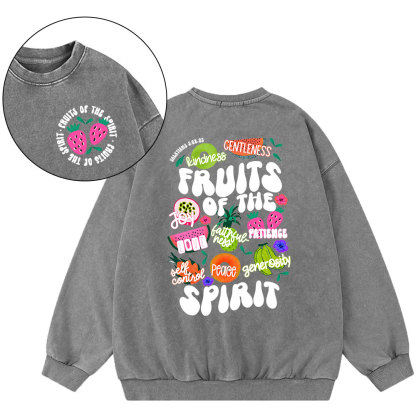 Fruit Of The Spirit Christian Washed Sweatshirt