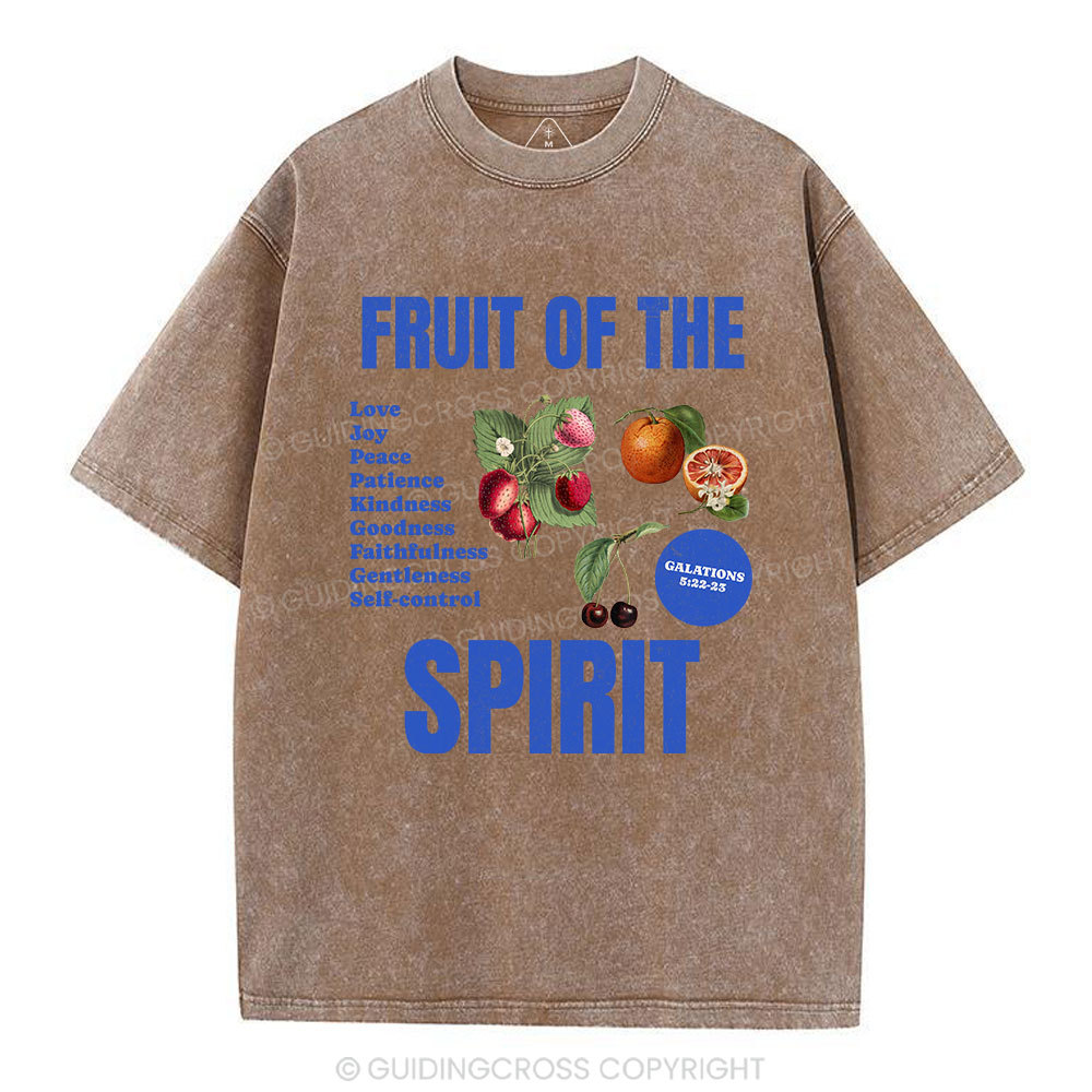 Fruit Of The Spirit Christian Washed T-Shirt