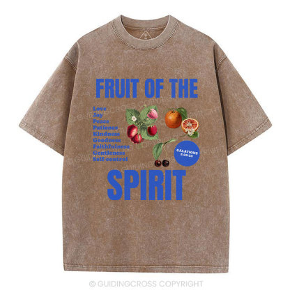 Fruit Of The Spirit Christian Washed T-Shirt