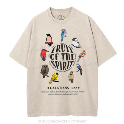 Fruit Of The Spirit Christian Washed T-Shirt
