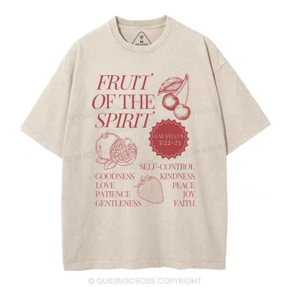 Fruit Of The Spirit Christian Washed T-Shirt