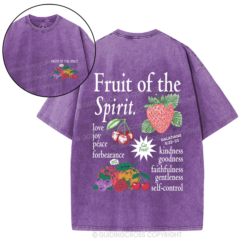 Fruit Of The Spirit Christian Washed T-Shirt