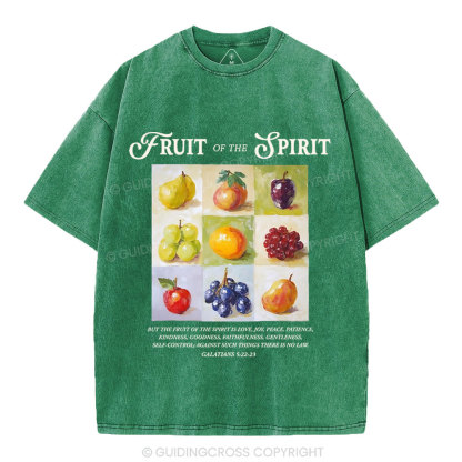 Fruit Of The Spirit Christian Washed T-Shirt