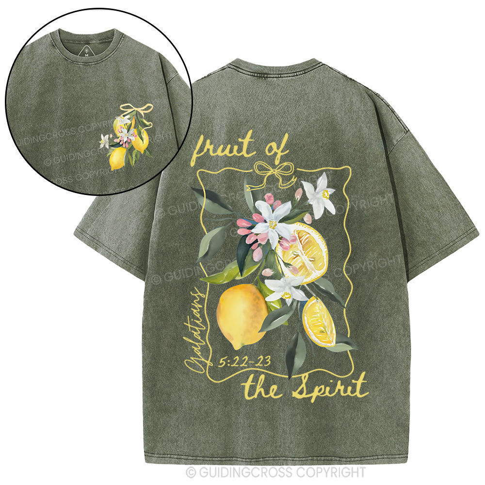 Fruit Of The Spirit Christian Washed T-Shirt