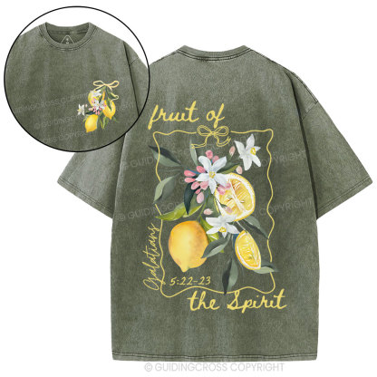 Fruit Of The Spirit Christian Washed T-Shirt