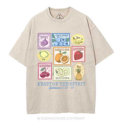 Fruit Of The Spirit Christian Washed T-Shirt