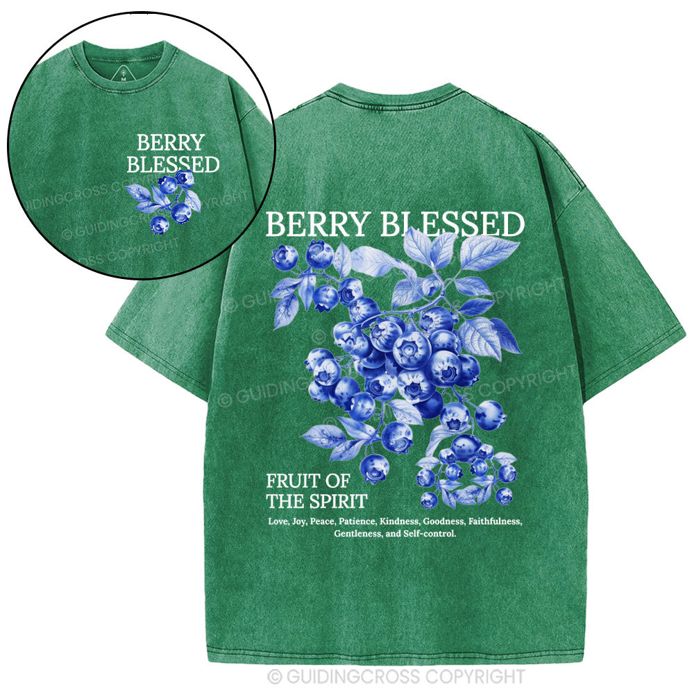 Fruit Of The Spirit Christian Washed T-Shirt