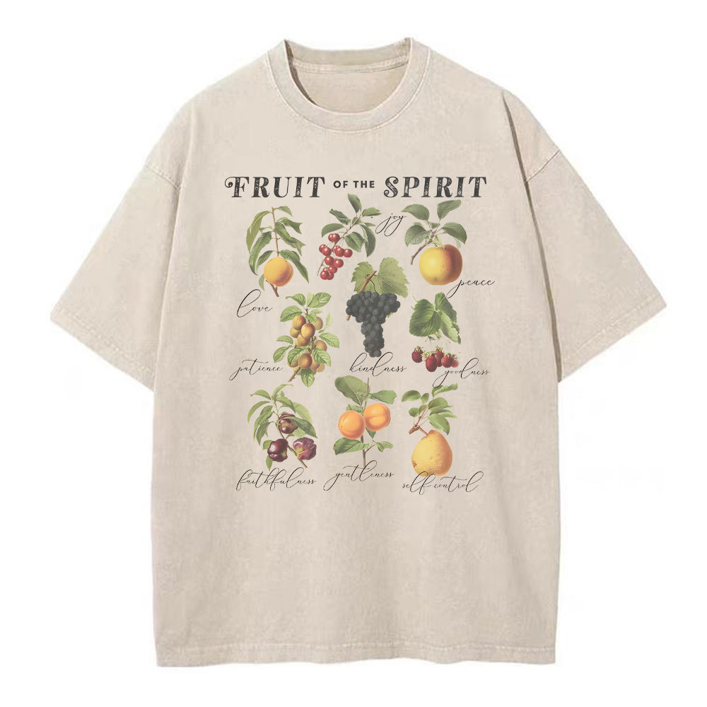Fruit Of The Spirit Christian Washed T-Shirt