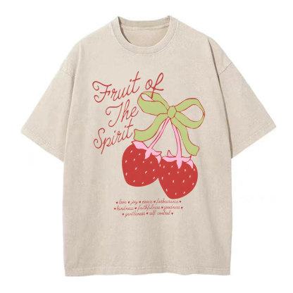 Fruit Of The Spirit Christian Washed T-Shirt