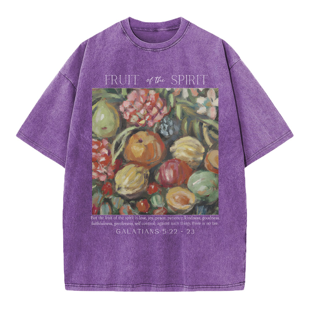 Fruit Of The Spirit Christian Washed T-Shirt