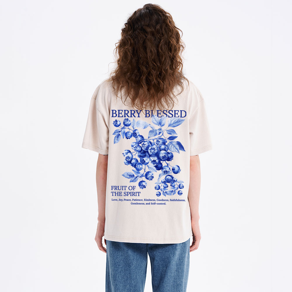 Fruit Of The Spirit Christian Washed T-Shirt