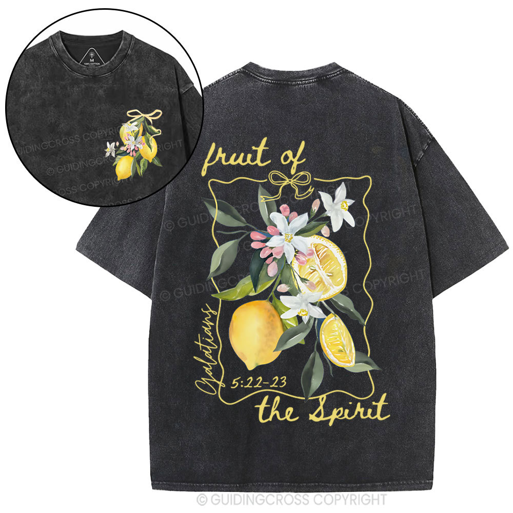 Fruit Of The Spirit Christian Washed T-Shirt