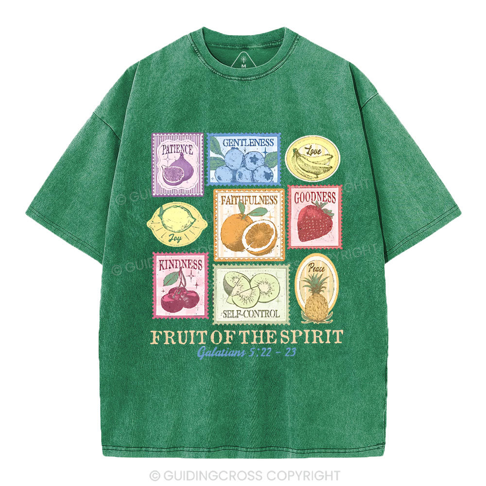 Fruit Of The Spirit Christian Washed T-Shirt