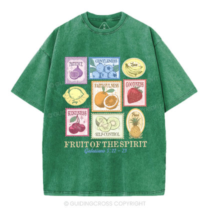 Fruit Of The Spirit Christian Washed T-Shirt