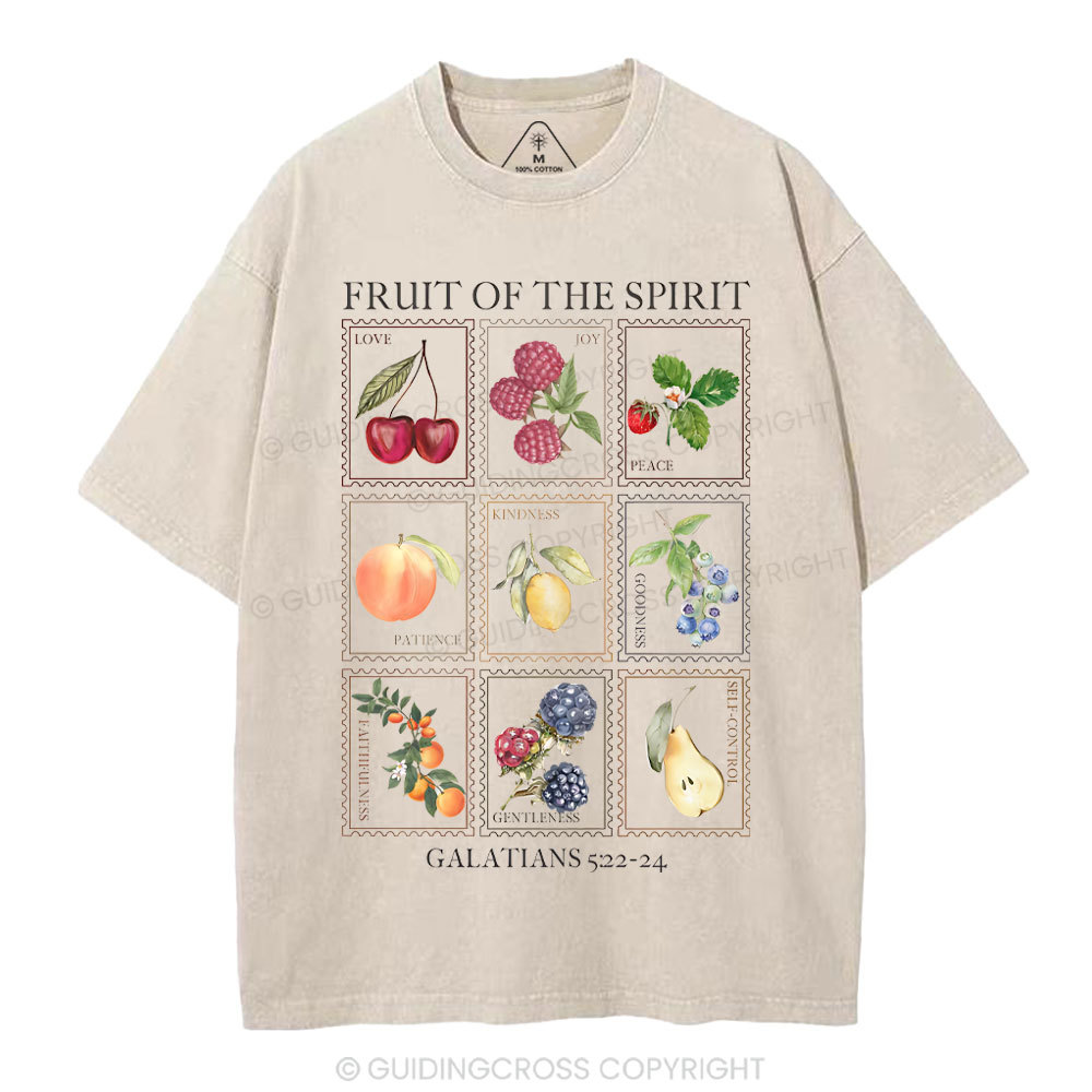 Fruit Of The Spirit Christian Washed T-Shirt