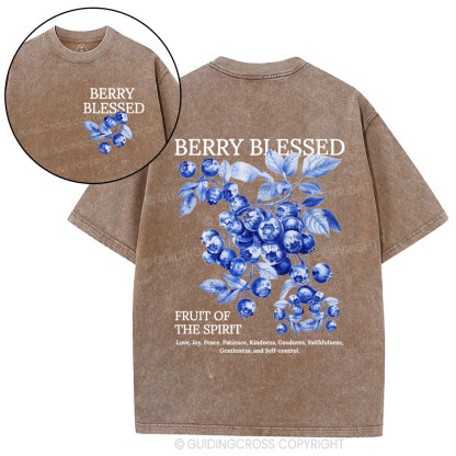 Fruit Of The Spirit Christian Washed T-Shirt