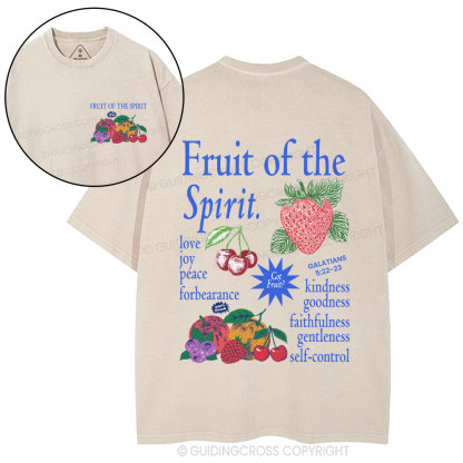 Fruit Of The Spirit Christian Washed T-Shirt