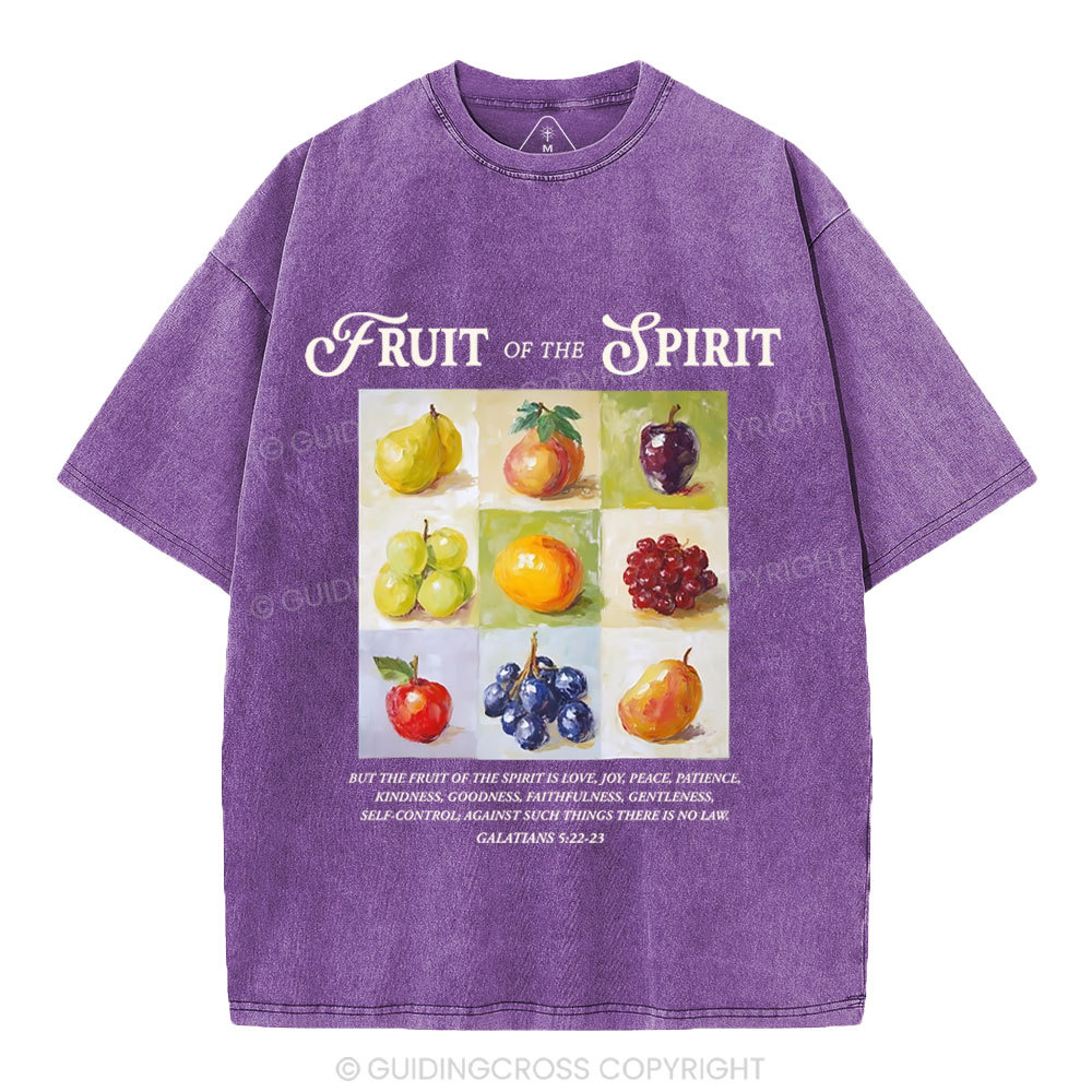 Fruit Of The Spirit Christian Washed T-Shirt