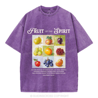 Fruit Of The Spirit Christian Washed T-Shirt