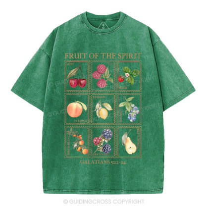 Fruit Of The Spirit Christian Washed T-Shirt