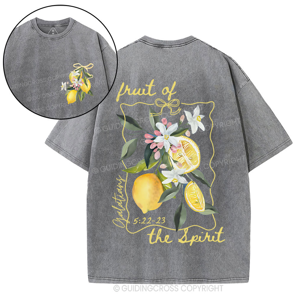 Fruit Of The Spirit Christian Washed T-Shirt