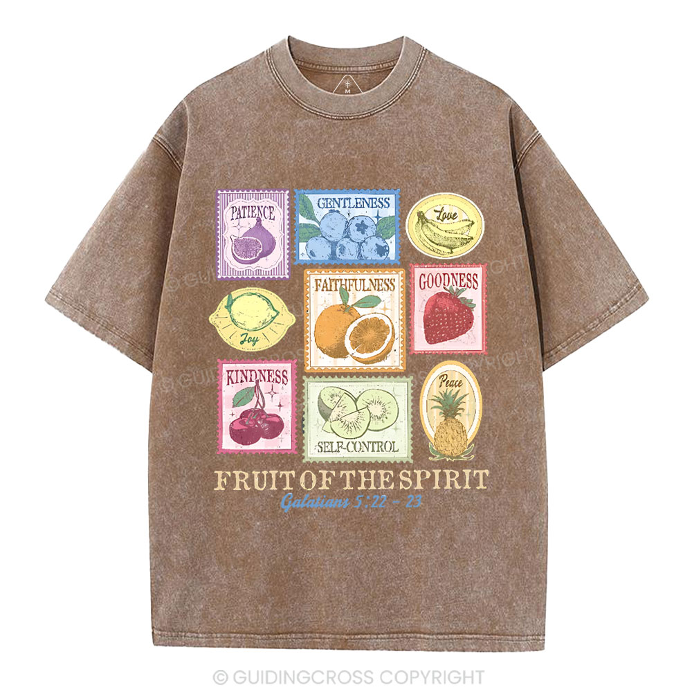 Fruit Of The Spirit Christian Washed T-Shirt