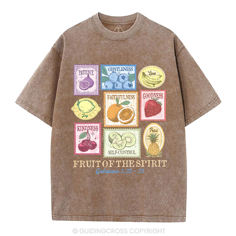 Fruit Of The Spirit Christian Washed T-Shirt